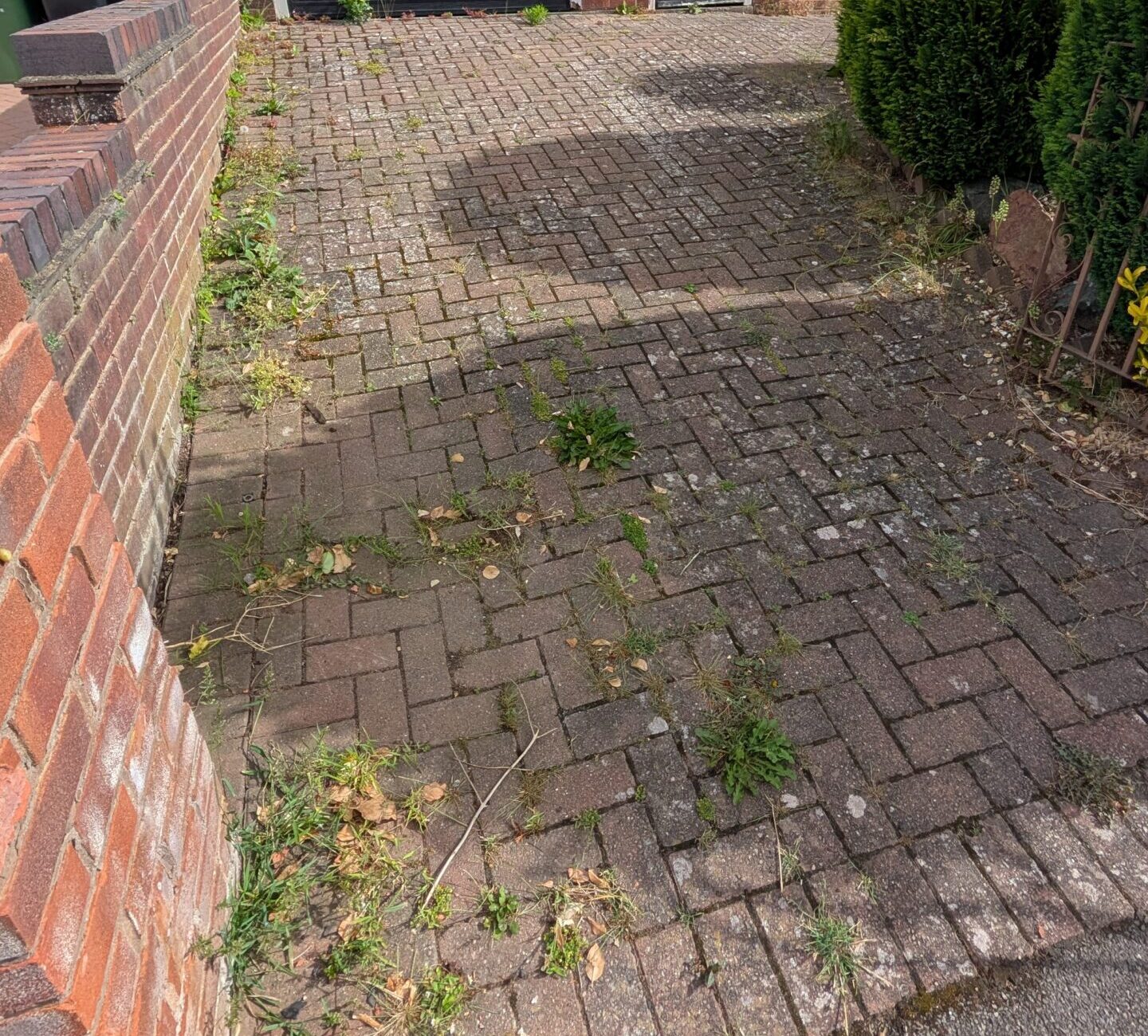 PXL_20250528_081721351.MP