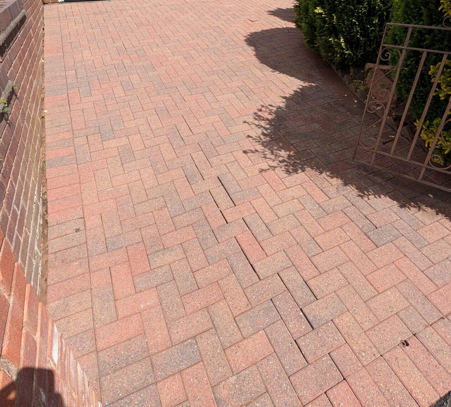 PXL_20250528_110311689