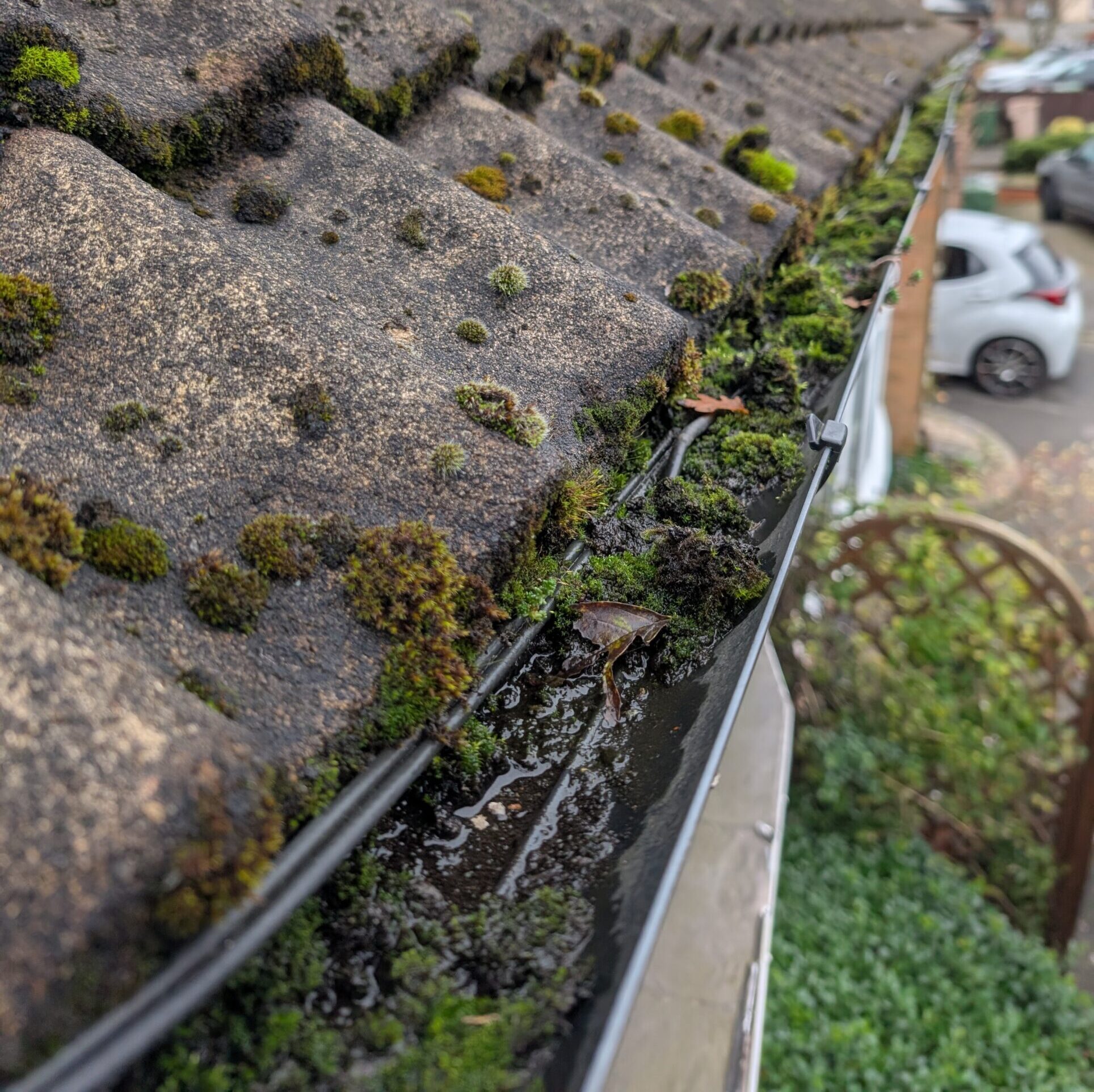 PXL_20241030_090825618 PXL_20241030_090825618